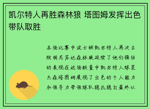 凯尔特人再胜森林狼 塔图姆发挥出色带队取胜